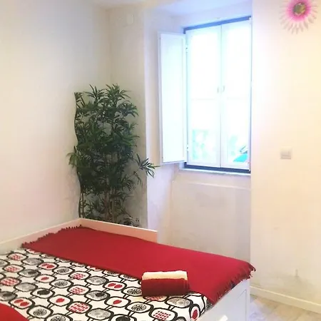 Typical Center דירה